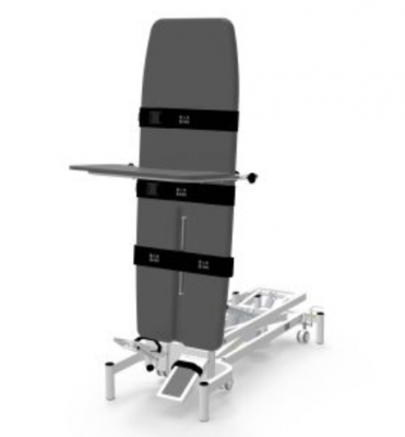 電動(dòng)起立床rlrf212廠家